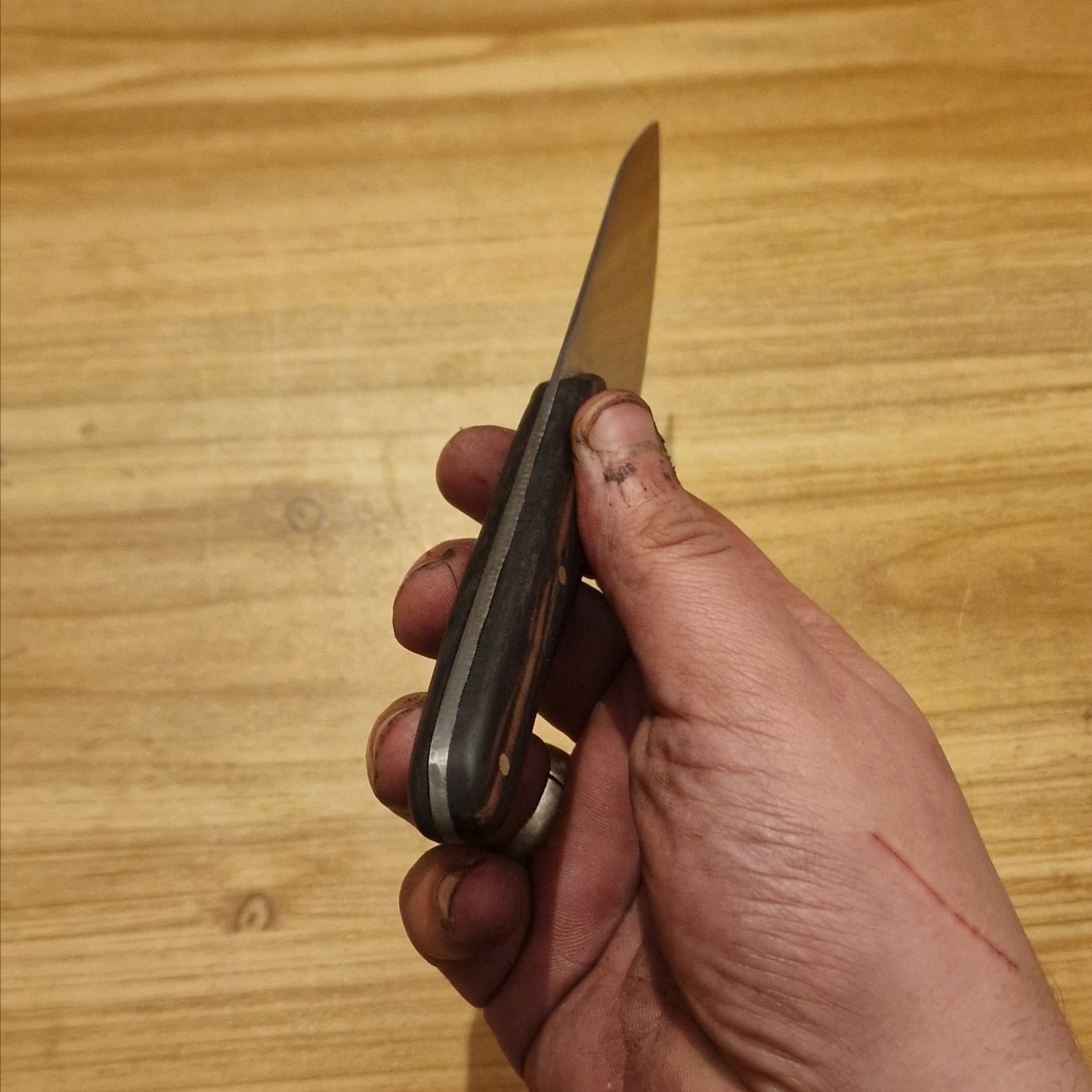 Couteau drop-point, Manche ébène – Image 2