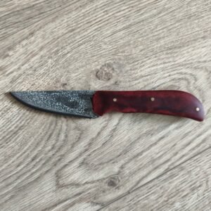 Dualis - Rubis